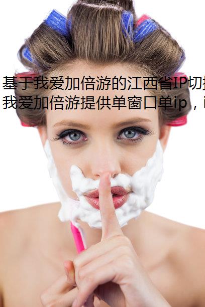 ҰӱεĽʡIPл붯̬/̬IPӦָ