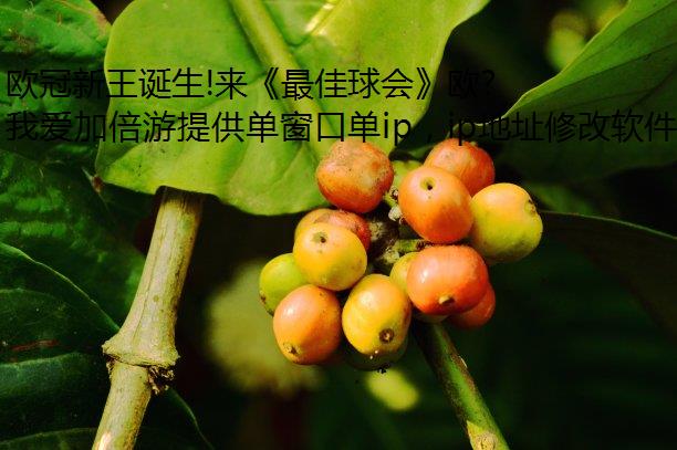 ŷ!ᡷŷ,ڵIPŷ֮Ǿս!