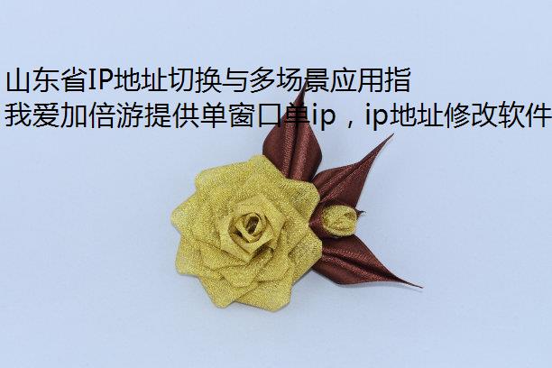 ɽʡIPַлೡӦָ:Ҷ̬ipӱιܽ