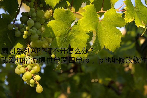 ȱϵAPP򲻿ô죿