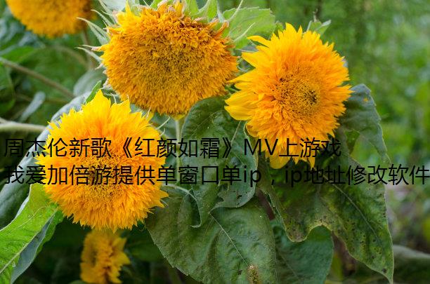 ܽ¸衶˪MVϷ,ڷ