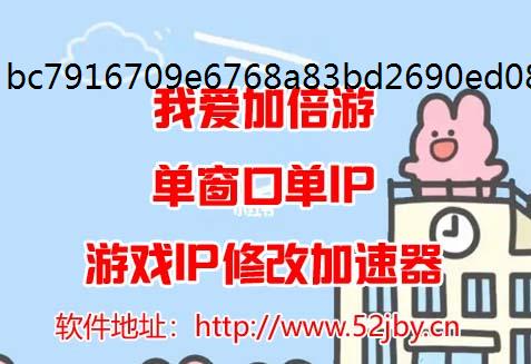 һվ2¹ɹģip
