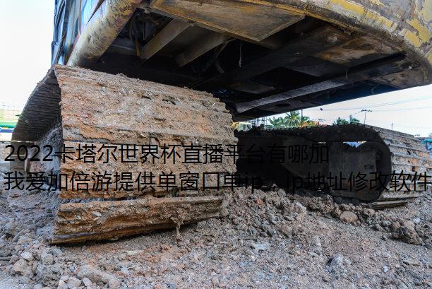 2022卡塔尔世界杯直播平台有哪加速器改ip些?海外党能看吗?