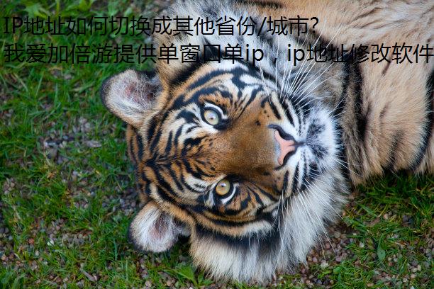 IPַлʡ/еģ