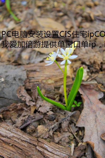 PC԰װCISסլipCO ANYCONNECT-̳