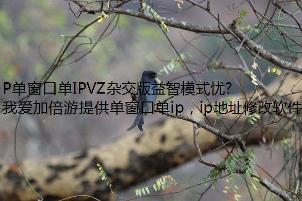 P单窗口单IPVZ杂交版益智模式忧郁咖啡豆2过关攻略
