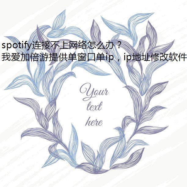 spotifyӲô죿