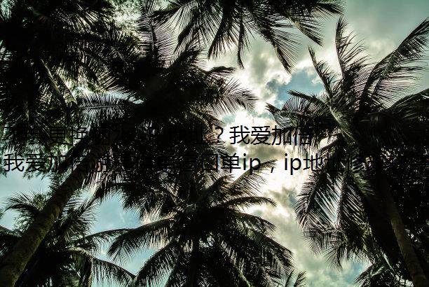 ˮ IP ַҰӱδ