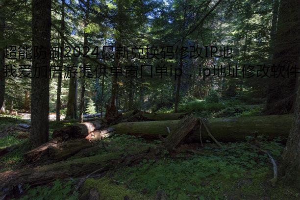 ܷ2024¶һ޸IPַȫ