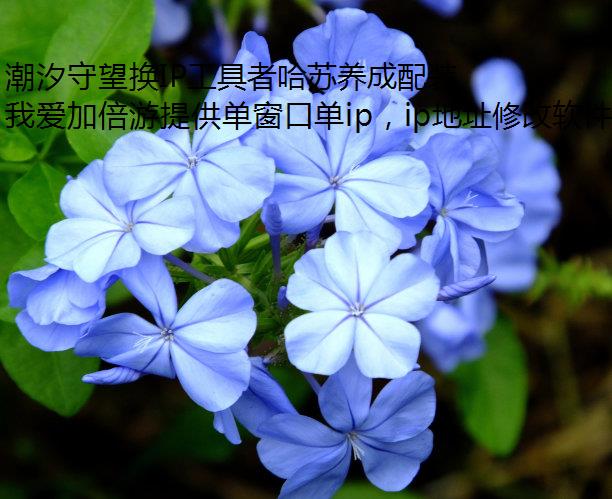 ϫIP߹װ