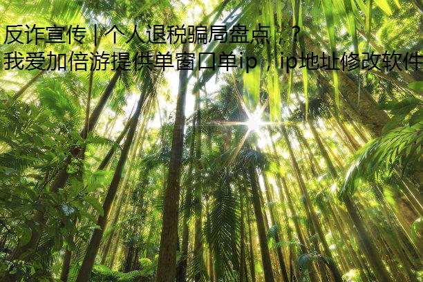 反诈宣传 | 个人退税骗局盘点，当心退给骗子！