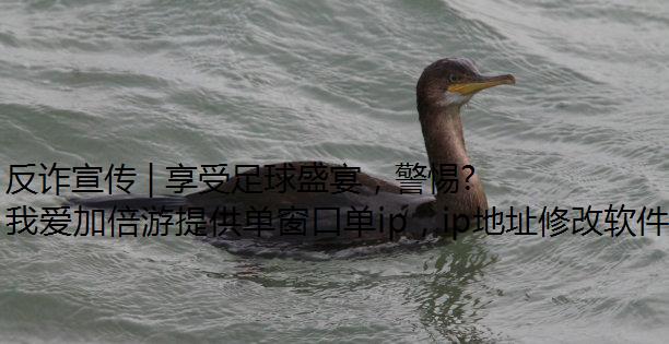 թ | ʢ磬籭ƭ֣