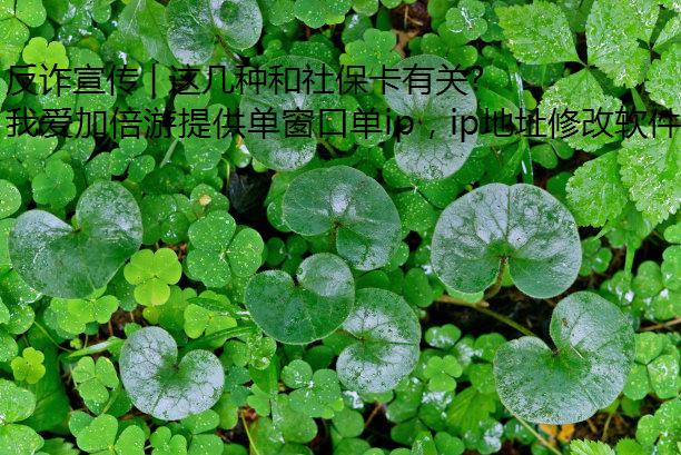 թ | ⼸ֺ籣йصƭ֣ģip