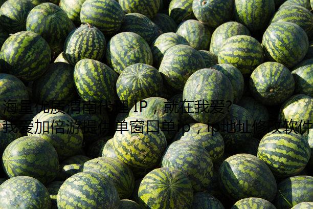 海量优质渭南代理 IP，就在我爱加倍游
