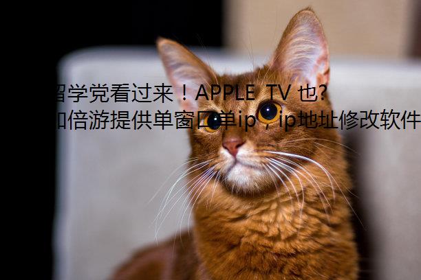 ѧAPPLE TV ҲϹڴ IP
