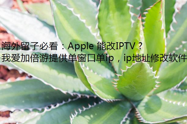 ӱؿApple ܸIPTV ñ IP ַķ