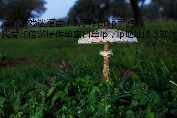 ϷԸ3Taptapκϼ