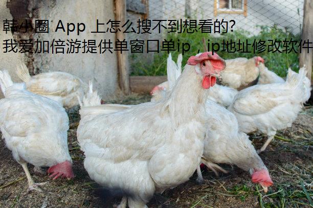 韩小圈 App 上怎么搜不到想看的韩剧了？