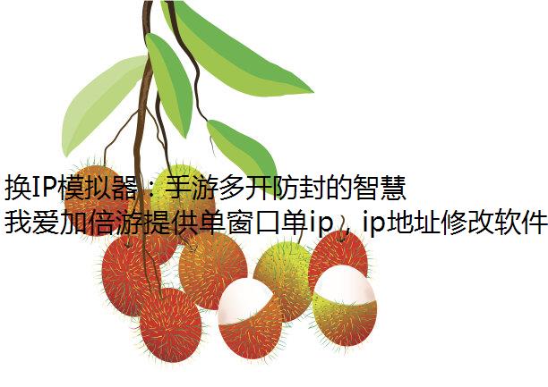 换IP模拟器：手游多开防封的智慧之舵