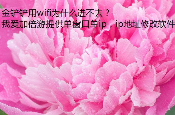 wifiΪʲôȥ