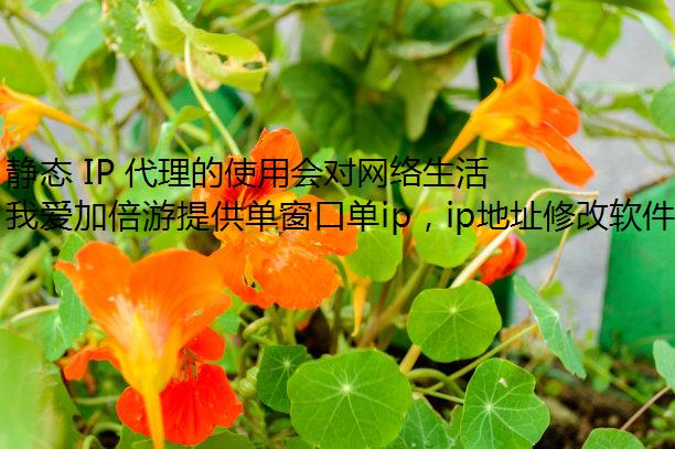 ̬ IP ʹûЩӰ죿