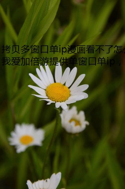 രڵipô?