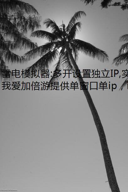 ׵ģ:࿪öIP,ʵַη