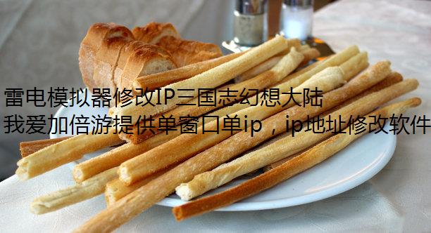׵ģ޸IP־½ʿӹ