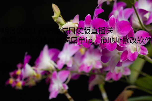 չ⣡ħڴֱ͸һ