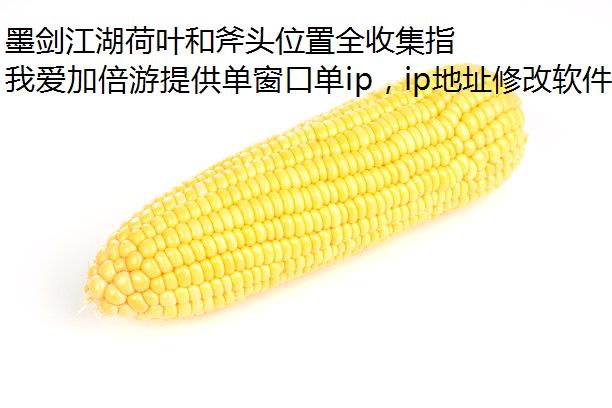 īҶ͸ͷλȫռָ϶࿪ͬip