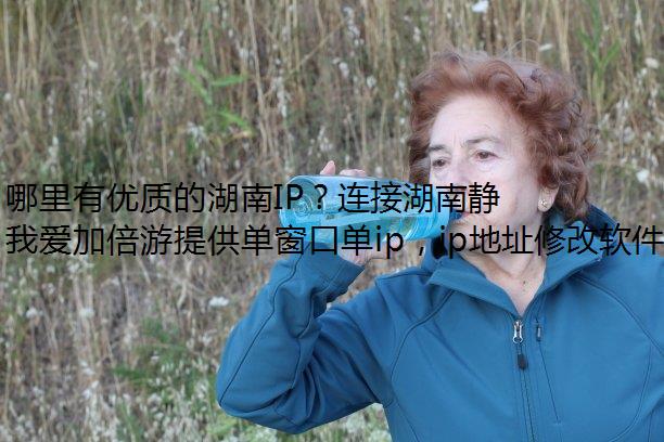 ʵĺIPӺϾ̬IP׼ҰӱΣ
