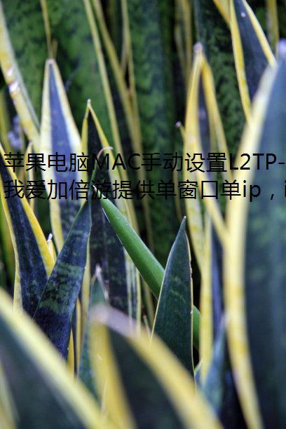 ƻMACֶL2TP-ģ޸IPķ