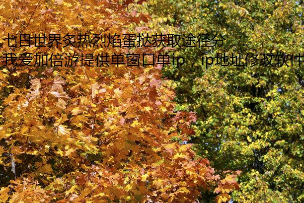 浰̢ȡ;