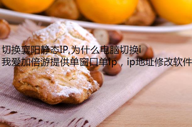 л̬IP,ΪʲôлipѡҰӱ?