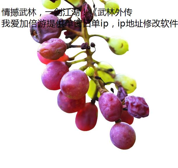 麳֣һ⴫롶ɡԵϮ