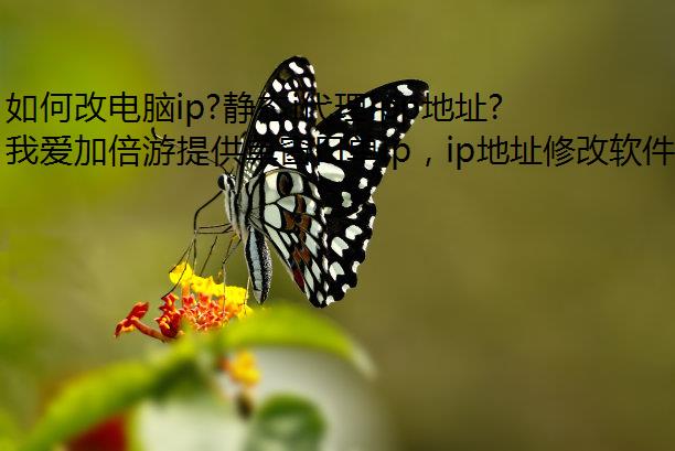 θĵip?̬iippַ޸ķ!