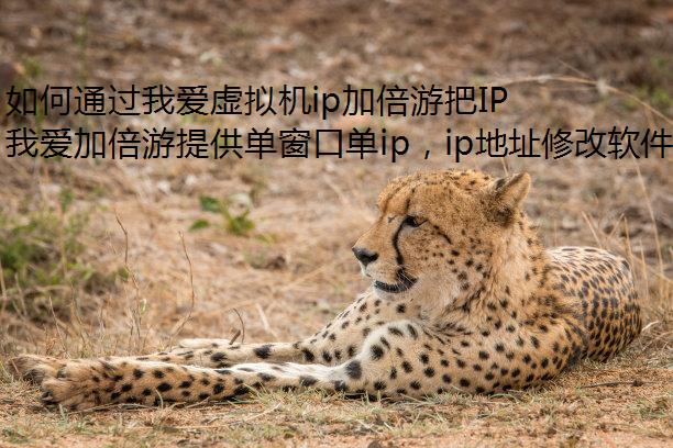 ͨҰipӱΰIPַлϾ?