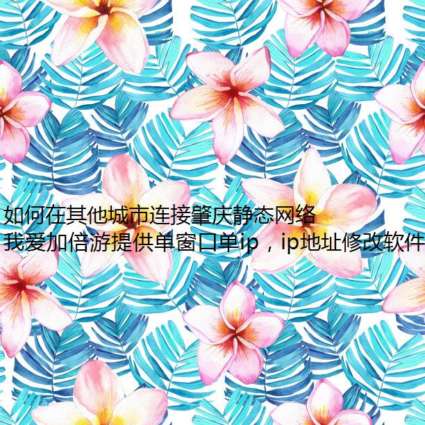 쾲̬磿