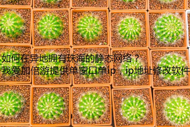 ӵ麣ľ̬磿Ұӱ