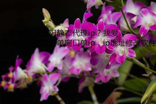 л̬ipҰӱξУ