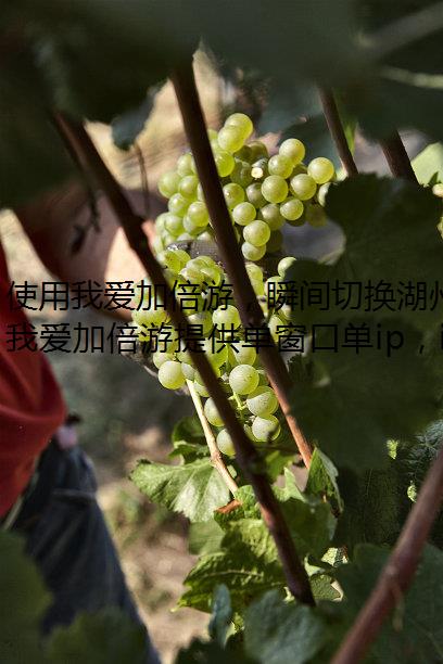 使用我爱加倍游，瞬间切换湖州静态代理ip！
