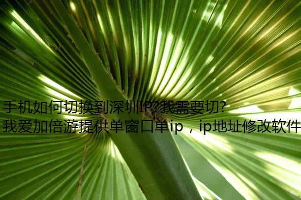 ֻлIP?ҪллIPipβ