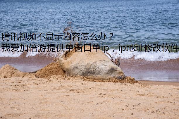 ѶƵʾô죿