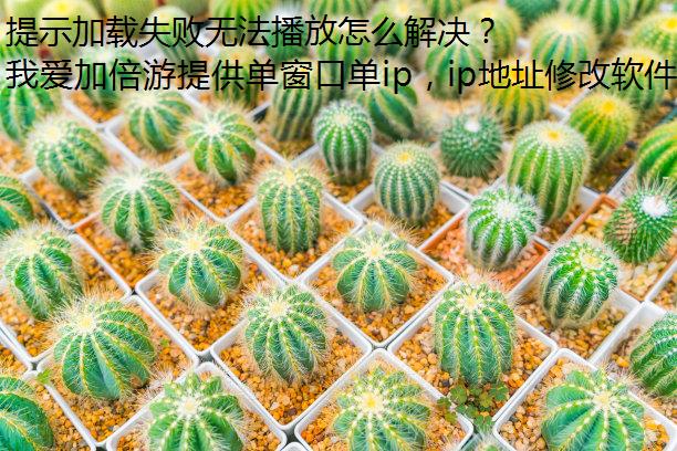 ʾʧ޷ô