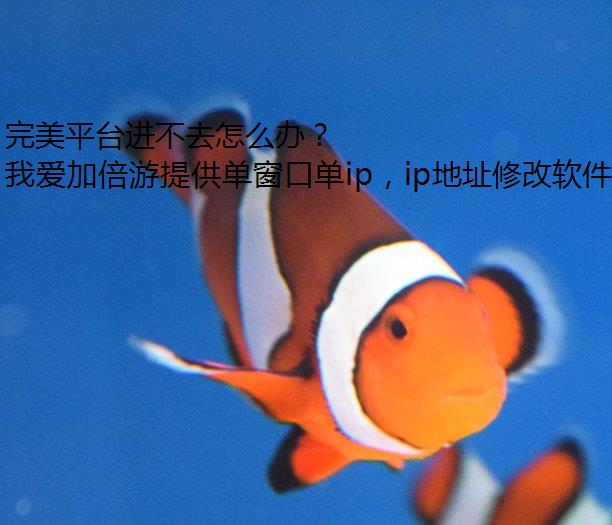 ƽ̨ȥô죿