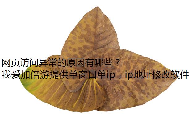 ҳ쳣ԭЩ
