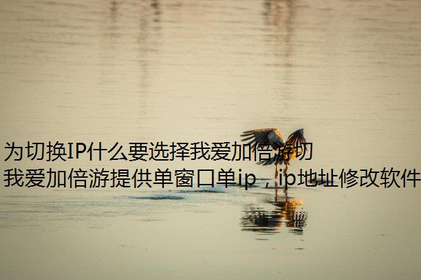 ΪлIPʲôҪѡҰӱлϴIP?