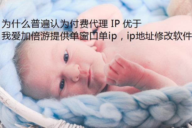 ΪʲôձΪѴ IP Ѵ IP