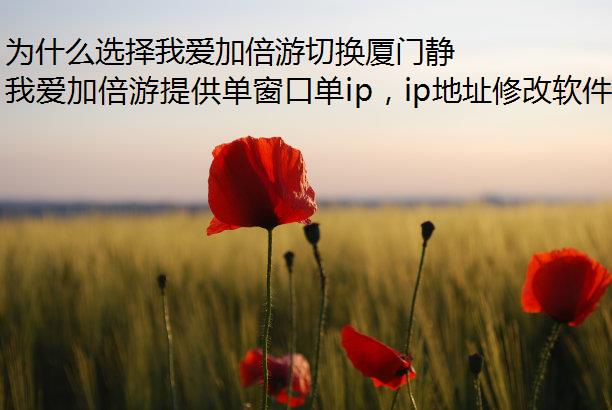 ΪʲôѡҰӱлž̬ipip?