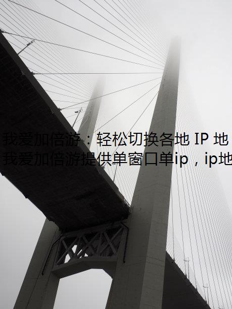 ҰӱΣл IP ַ